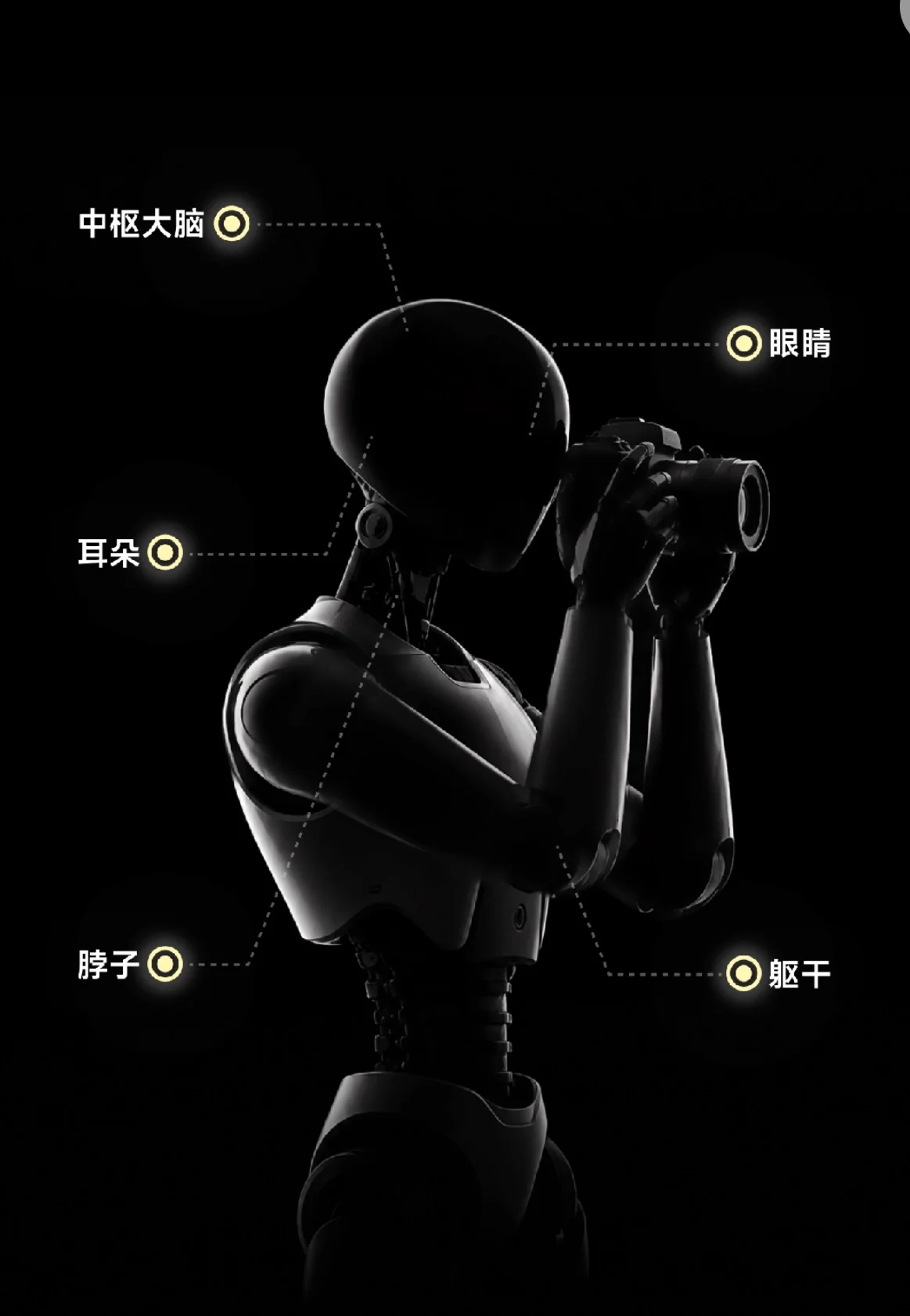 影石11周年，官宣入局机器人